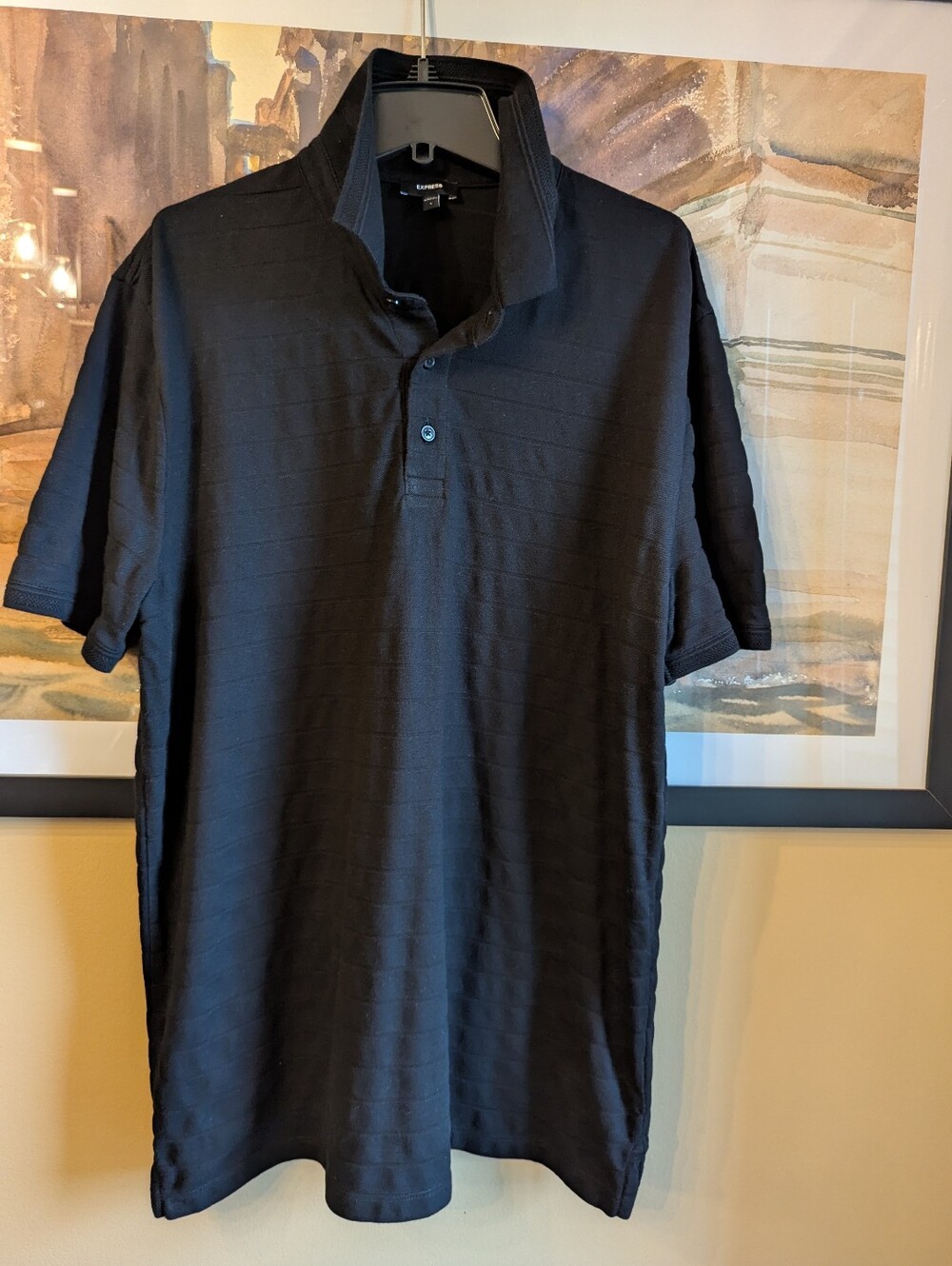 Express Polo L - Picture 2 of 8